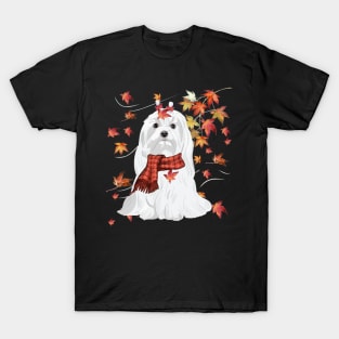 Maple Dog Leaf Fall Hello Autumn Funny Maltese Lover T-Shirt